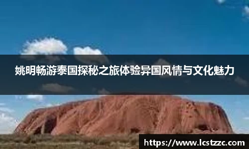 vsports胜利因您更精彩